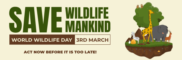 forest-animal-illustrated-world-wildlife-day-email-header-thumbnail-img